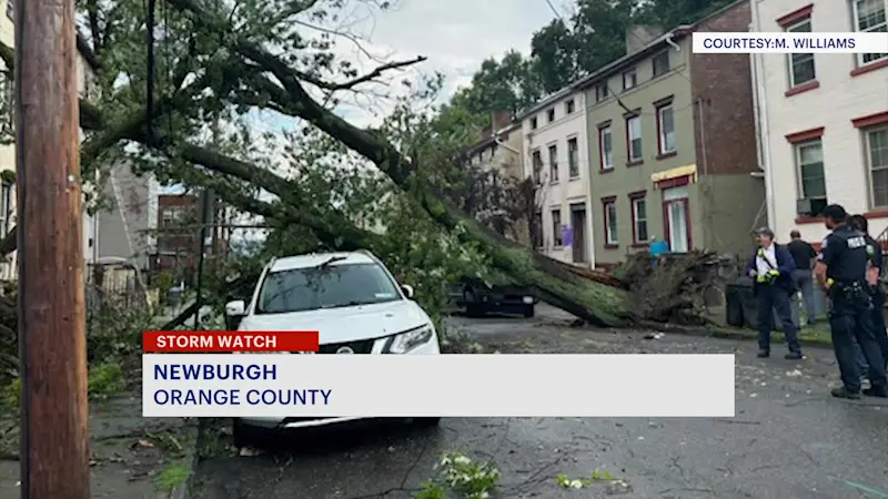Story image: Tree crushes car, knocks out power in Newburgh during wild weather