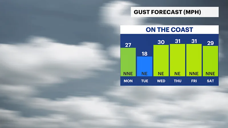 DAILY GUSTS.png