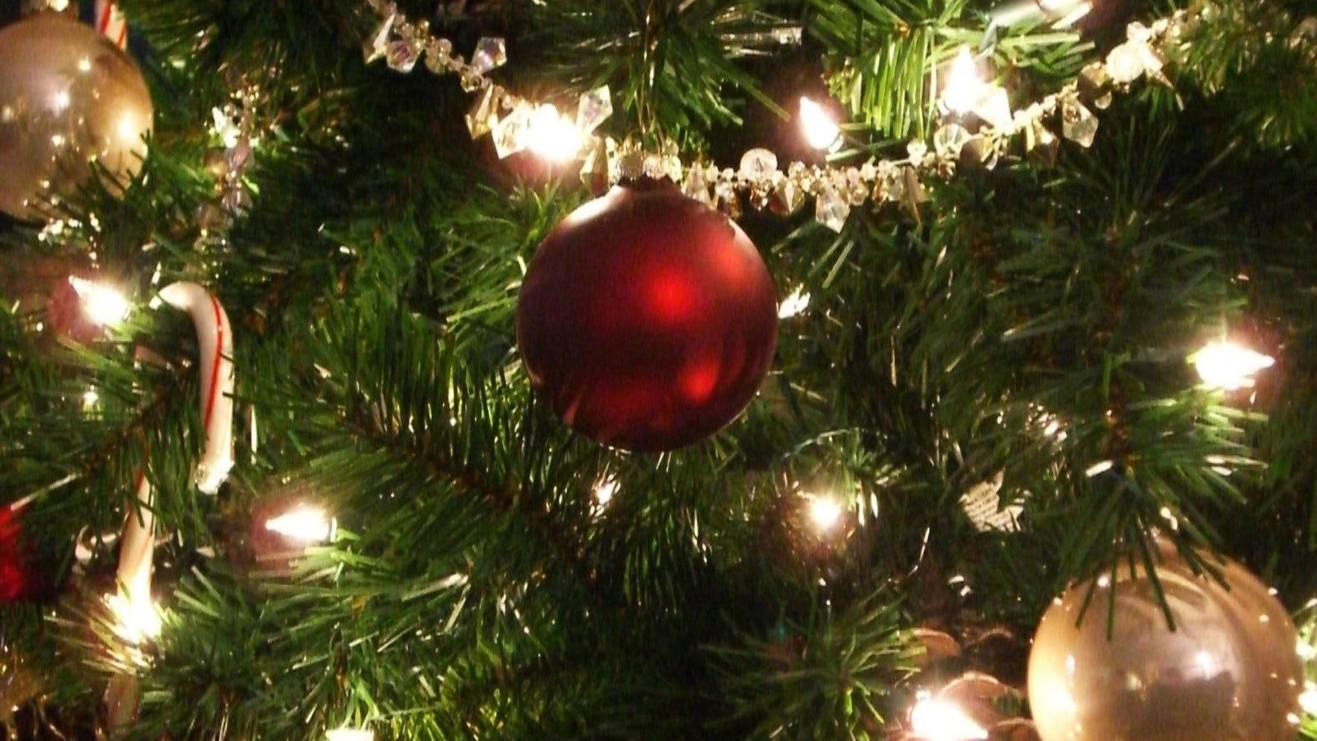 Article 151857 Thumbnail