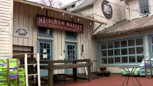 Old Wethersfield's Heirloom Market is the home of flower, vegetable seeds and a bustling café