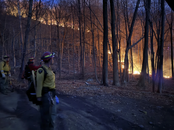 Story image: FDNY launches task force to tackle 'historic' increase in brush fires