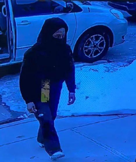 PkgThief1.jpg