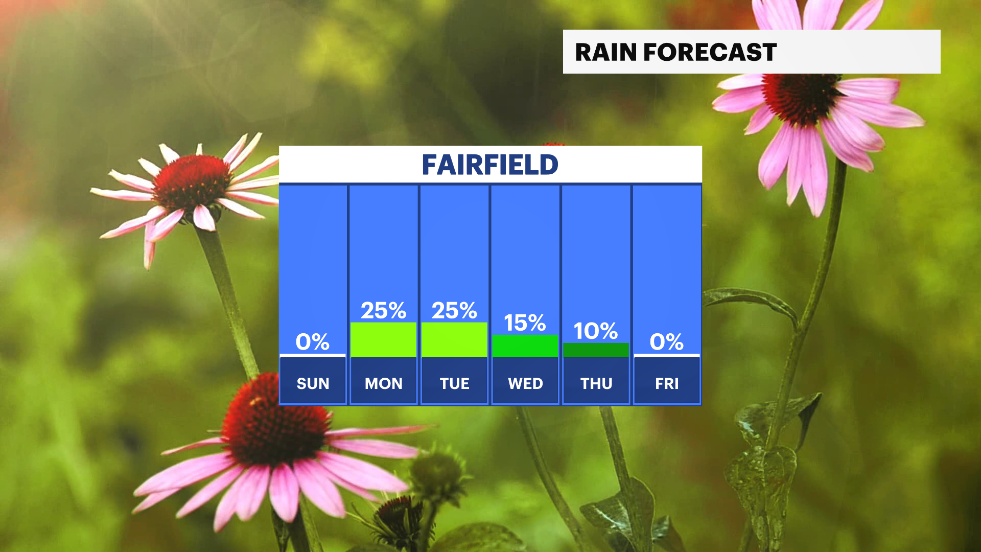 CT Sat 05302026 Rain Forecast.png