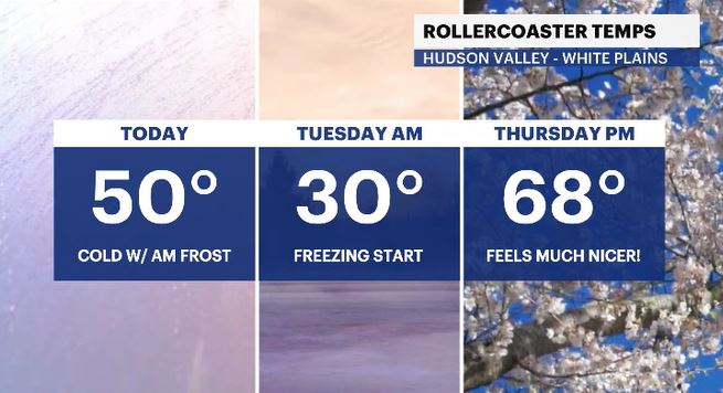 rollercoaster temps HV.JPG