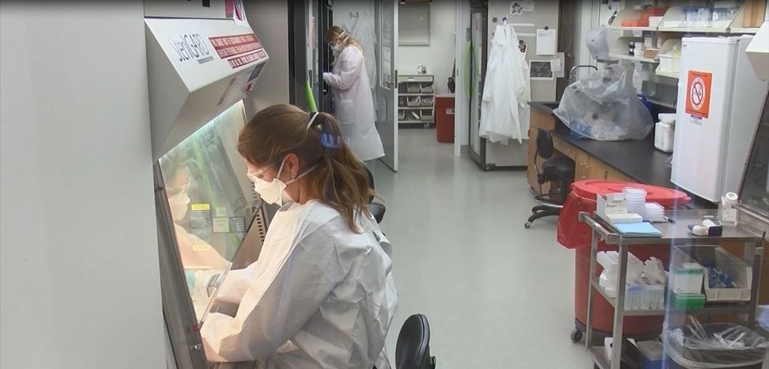 Article 24580 Thumbnail