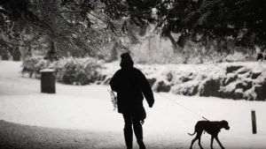 Guide: Tips to protect your pets during winter storms and extreme cold