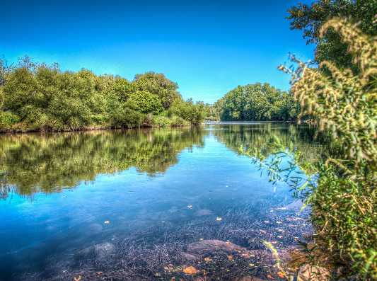 Wharton State Forest-NJDEP
