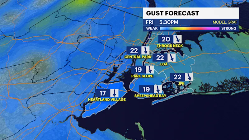 NYC GUSTS.png