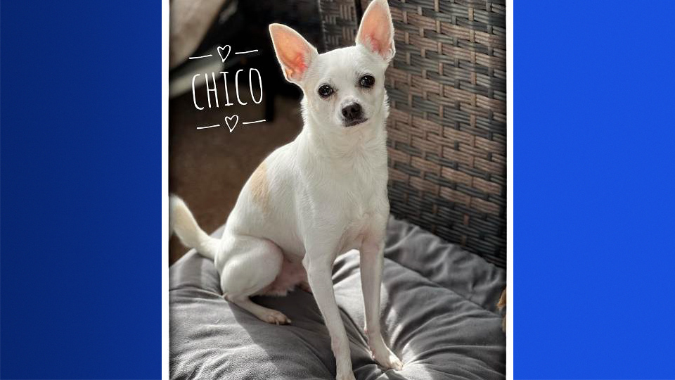 MicrosoftTeams-image (35).png