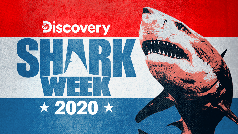 Article 7102 Thumbnail