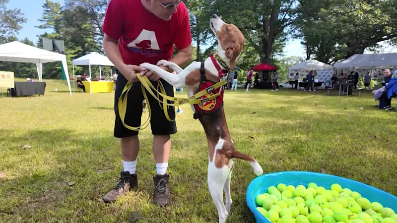 Story image: Paws Crossed celebrates 10 years of pet rescues and adoptions