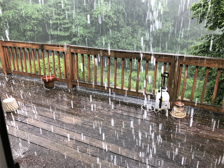 Article 29378 Thumbnail