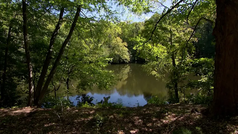 Story image: 'Beautiful place preserved.' Land once slated for development becomes Stamford's newest green space