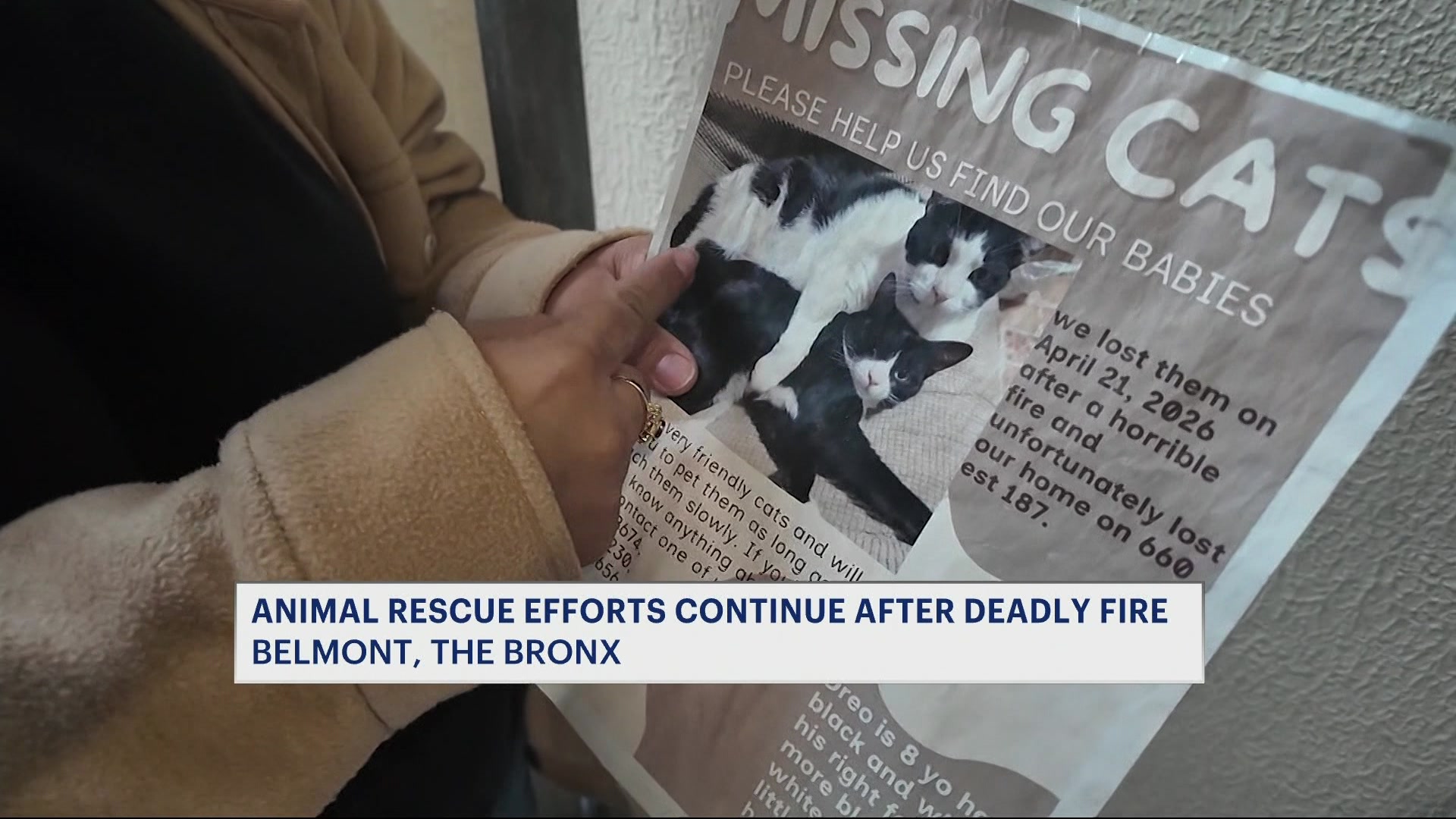BX7AANIMALRESCUE_2026-05-10-07-23-45