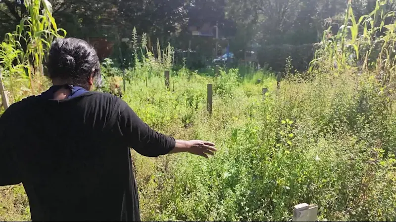 Story image: City Council works to get back portion of beloved Belmont garden