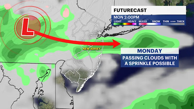 RizzoSm4 (21).png
