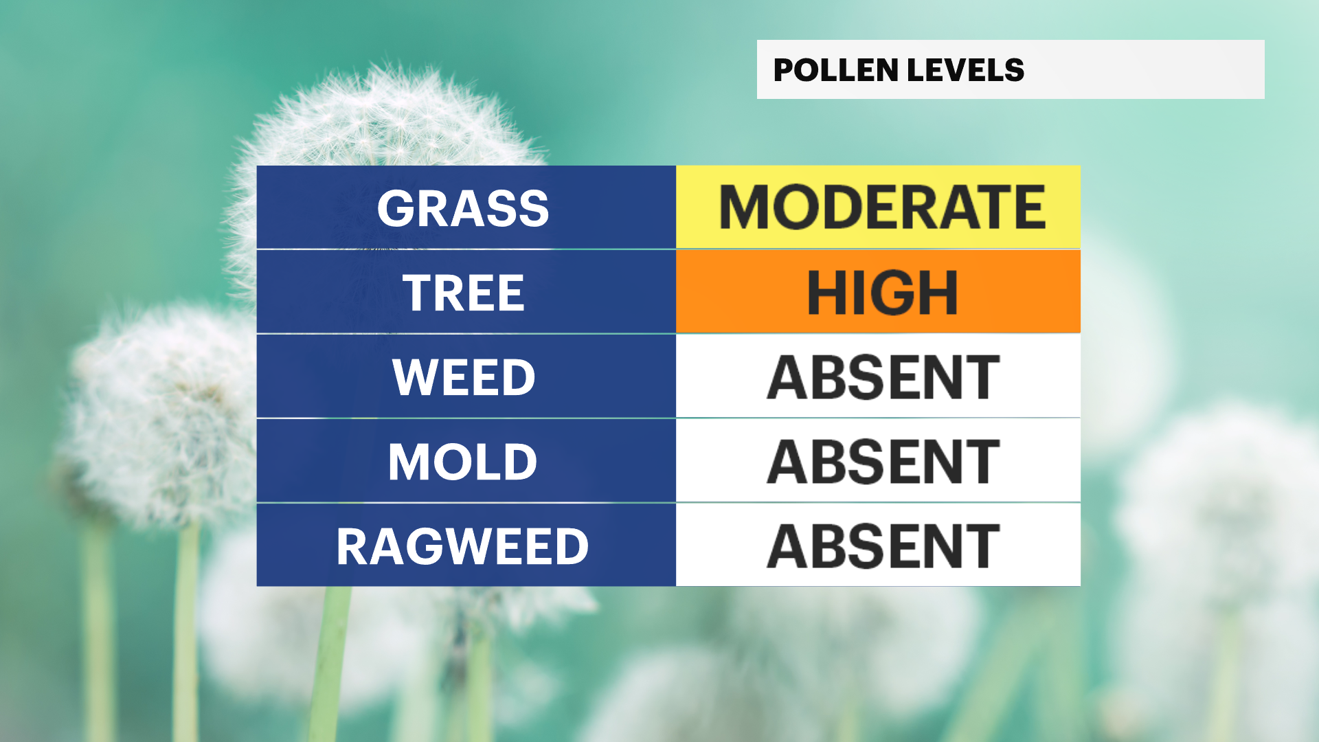 LI-POLLEN.png