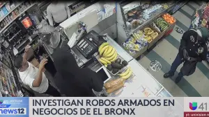Univision 41 News Brief: Investigan robos armados en negocios de el Bronx
