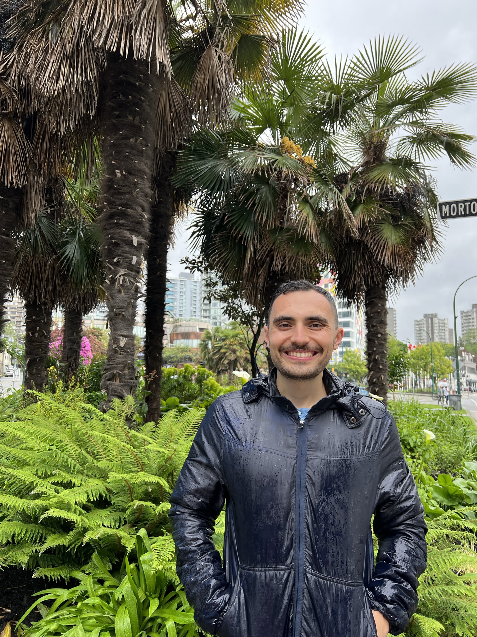 Windmill Palm Trees in Vancouver.JPEG