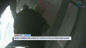 WATCH: Body camera shows police rescuing dogs at Fairfield business complex