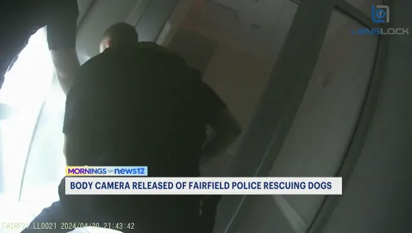 WATCH: Body camera shows police rescuing dogs at Fairfield business complex
