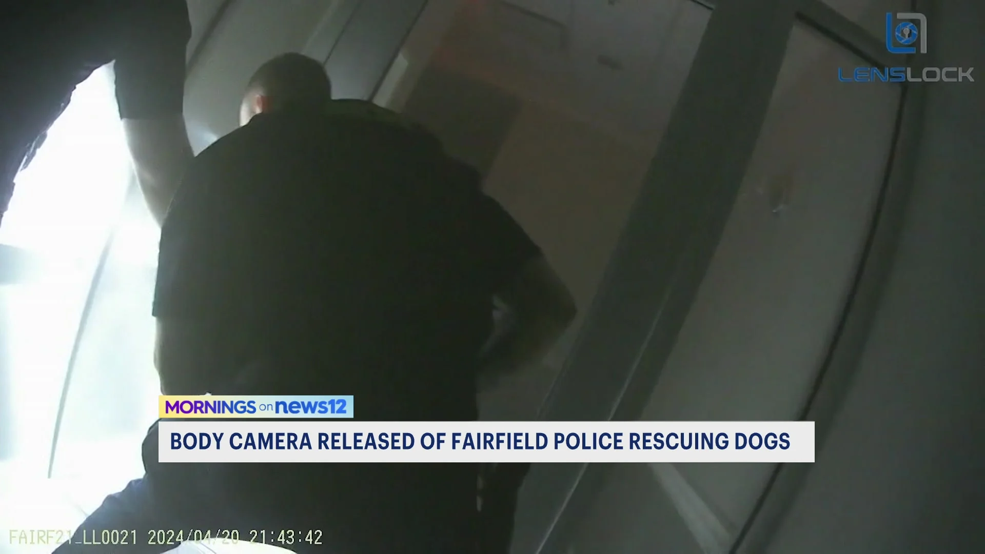 Security camera footage captures police officers saving dogs at Fairfield business complex