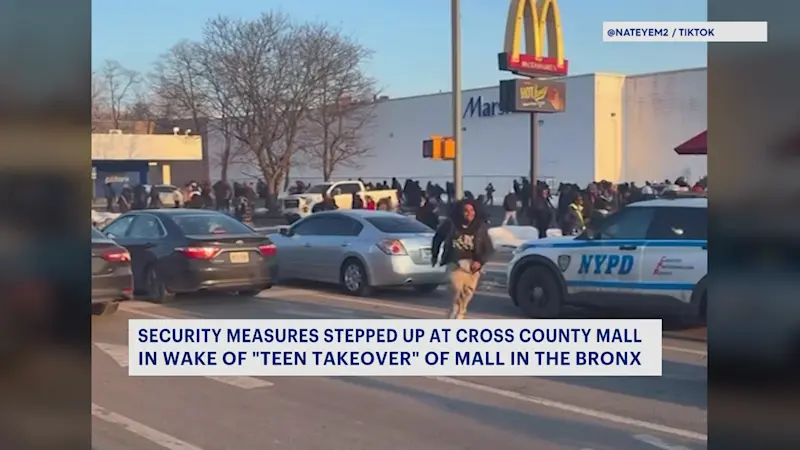 Story image: Westchester police stay vigilant after teen takeover at Bronx's Bay Plaza Mall