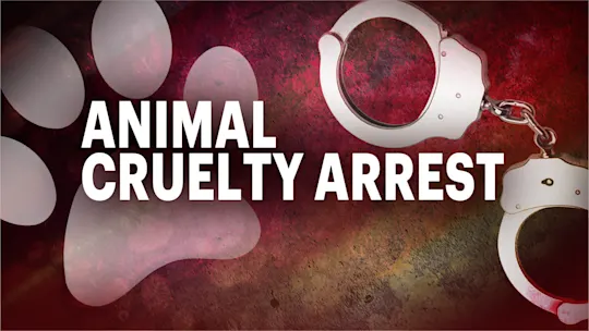 animal cruelty arrest