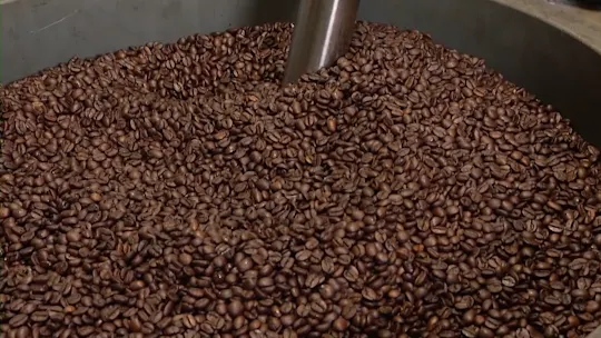 coffeebean1