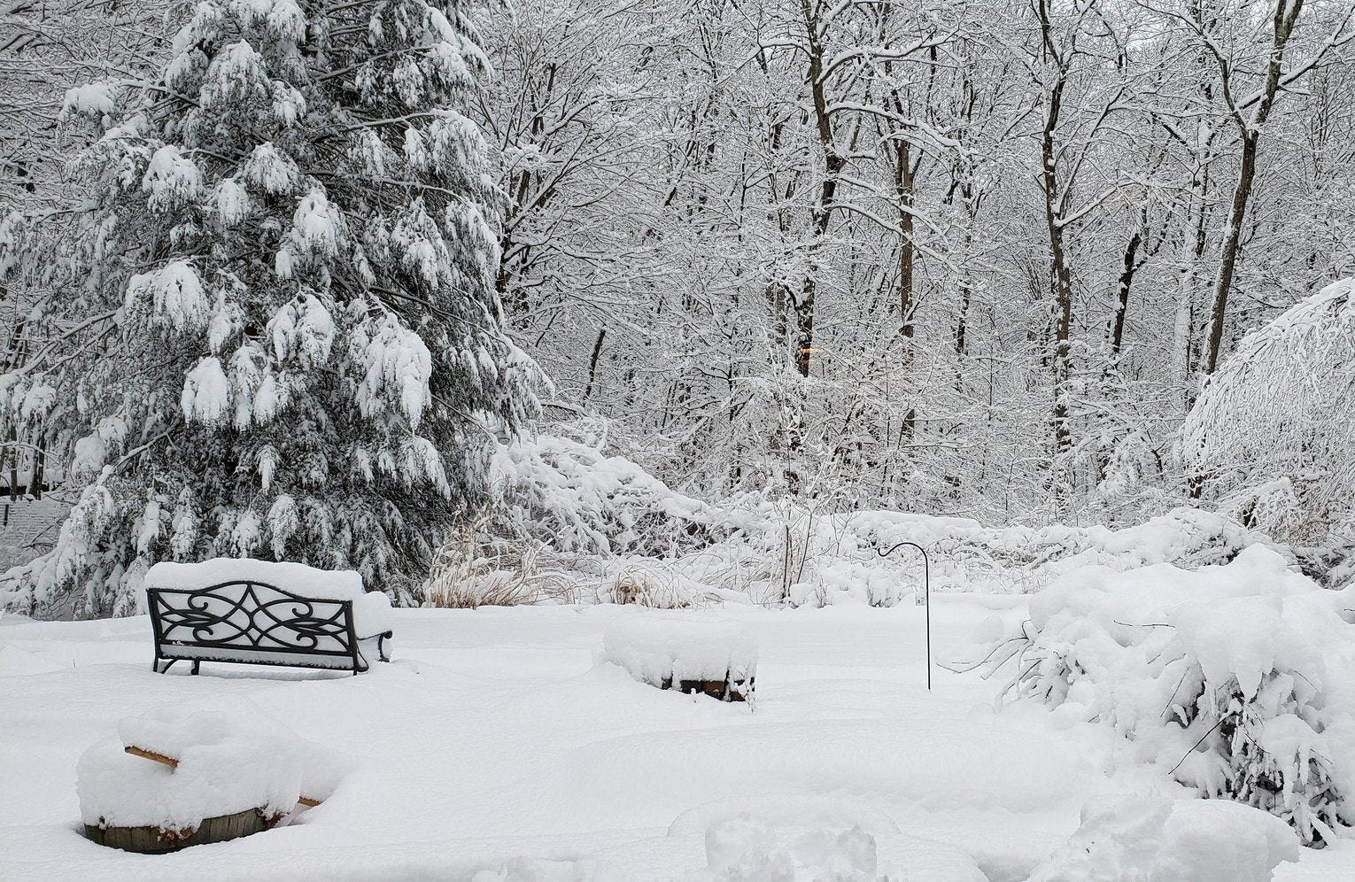 Article 46452 Thumbnail