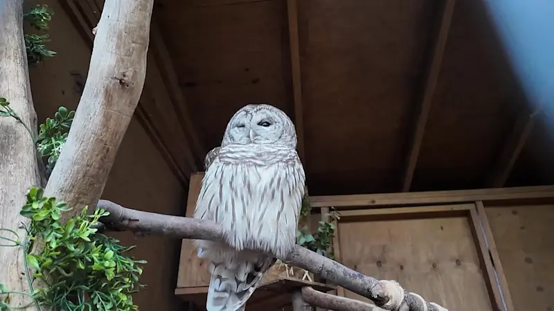 Story image: Take a fun family trip to The Center for Science Teaching and Learning