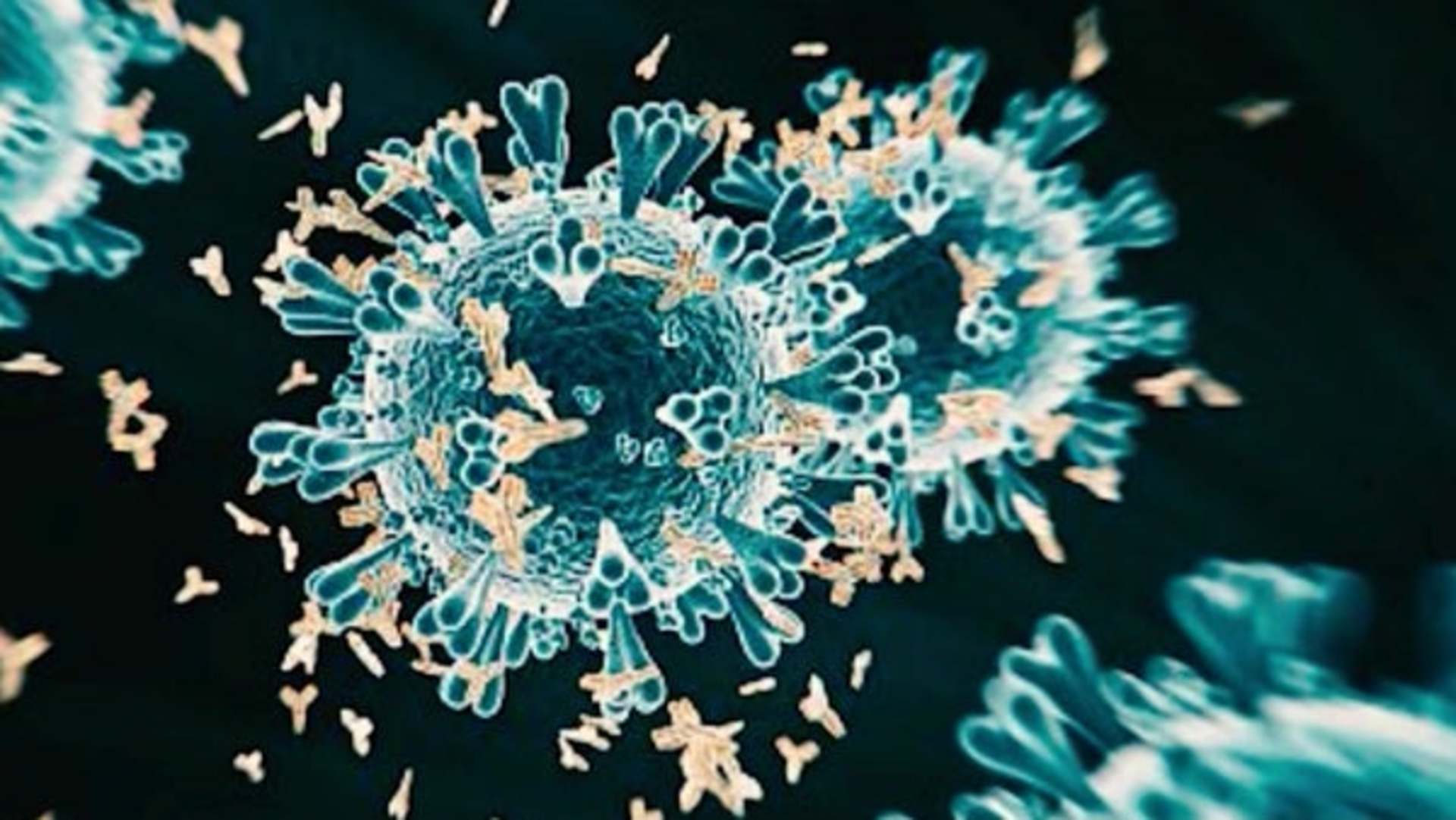 Article 277515 Hero Image