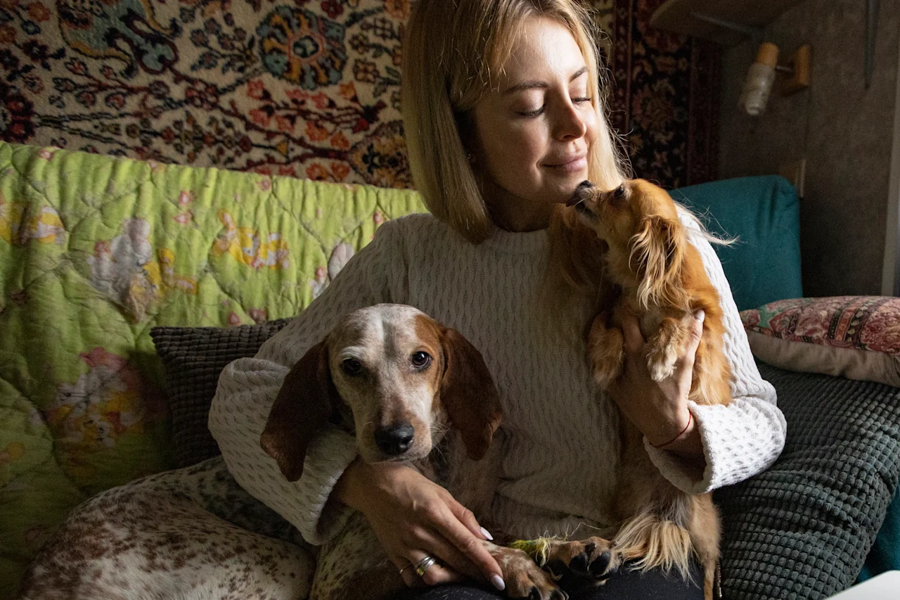 AP - Dog Adoption