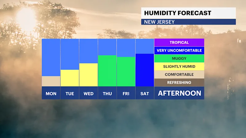 FB_Dewpoint_Daily.png