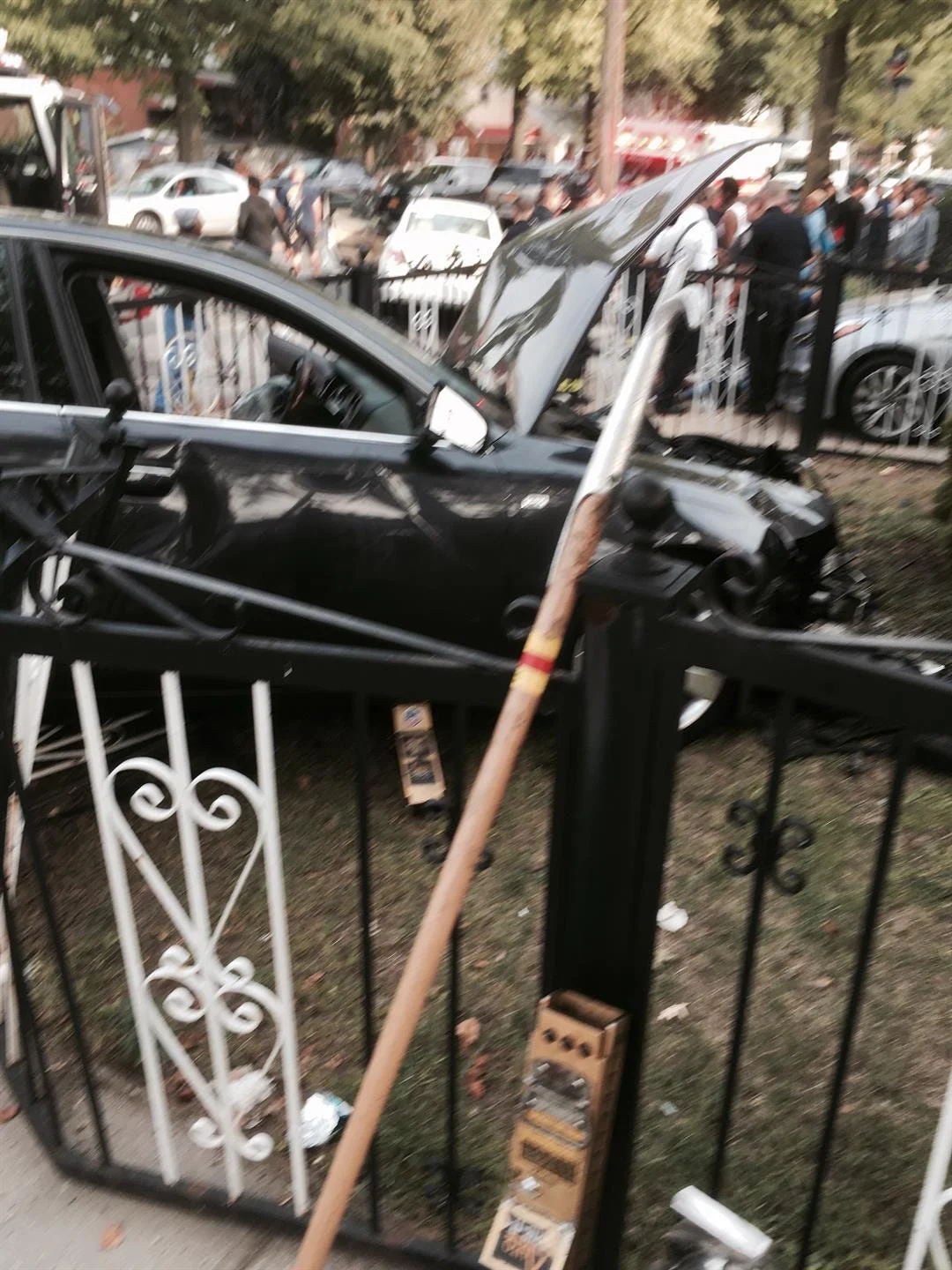 Article 131774 Thumbnail