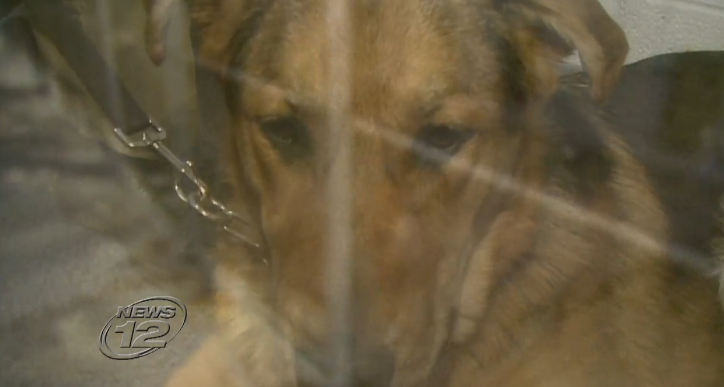 Article 114007 Thumbnail