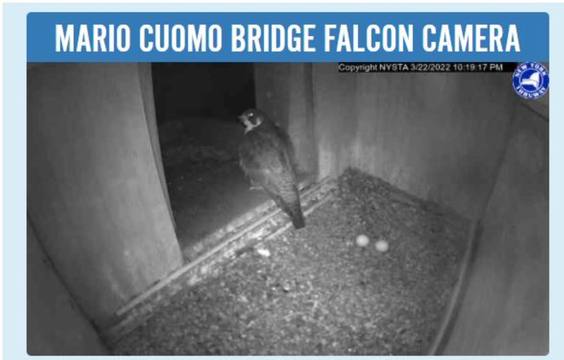 Article 288528 Hero Image