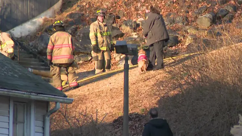 Story image: Bedford kennel fire extinguished with no reported injuries to animals