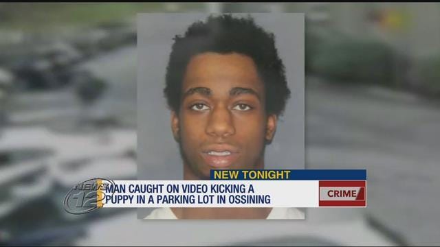 Article 49602 Thumbnail