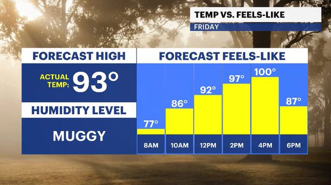 temp and feels HV day 1.JPG