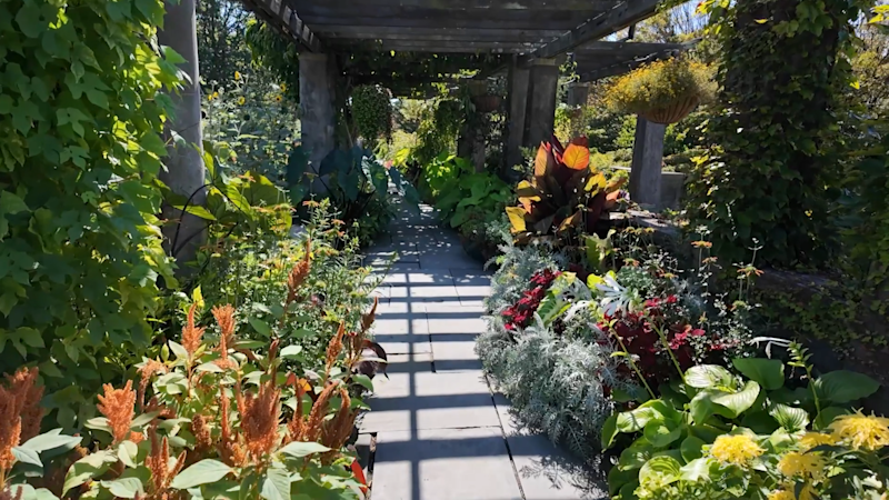 Story image: Gorgeous autumn plants at Wave Hill Public Garden & Cultural Center