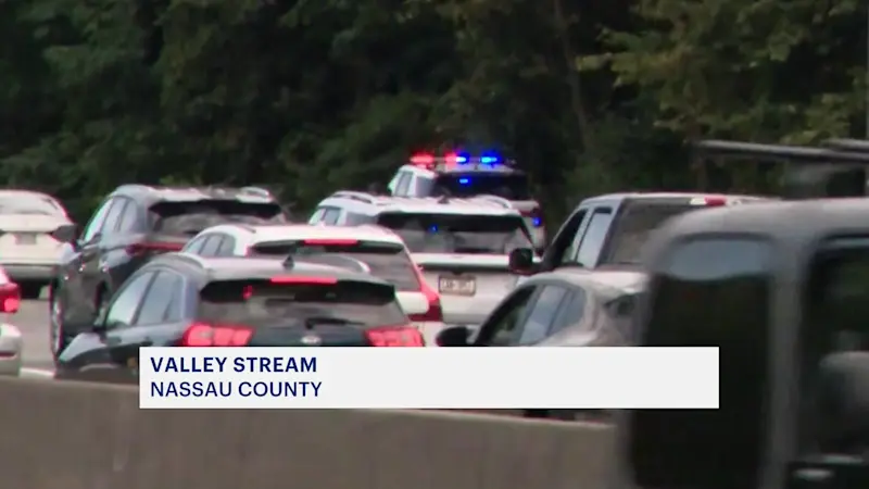 Story image: 15-year-old boy fatally struck on Southern State Parkway after going missing from special needs school