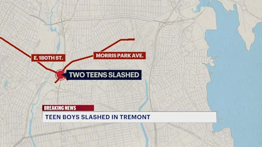 5APark Ave Teens SlashedST_2026-07-23-05-27-44