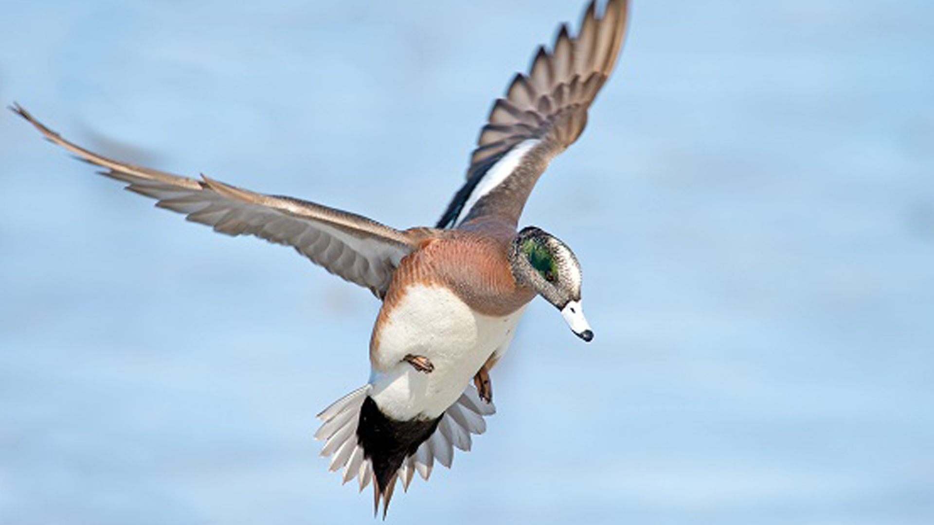 Article 286478 Hero Image