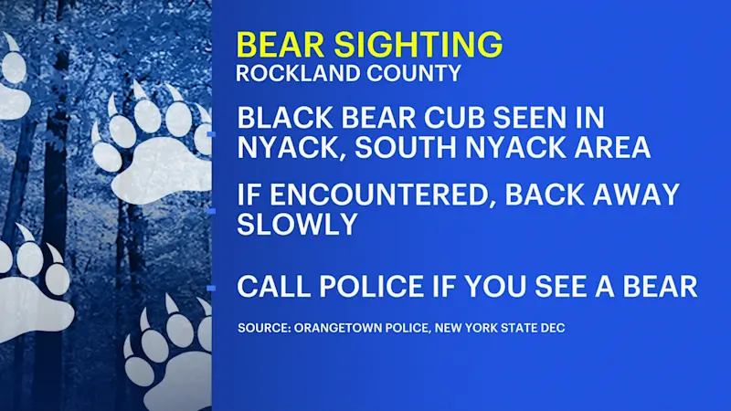 Story image:  Black bear sightings in Nyack prompts safety reminder for residents  