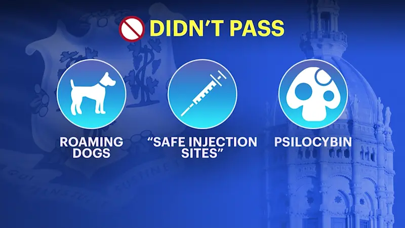 Story image: Thousands of bills didn’t pass this year. Here’s what won’t become law in CT
