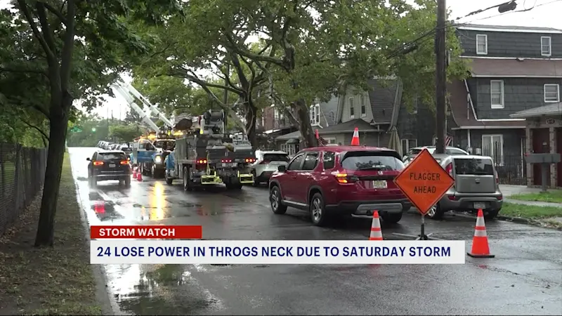 Story image: Con Ed: 24 customers lose power in Throgs Neck due to Saturday's storm