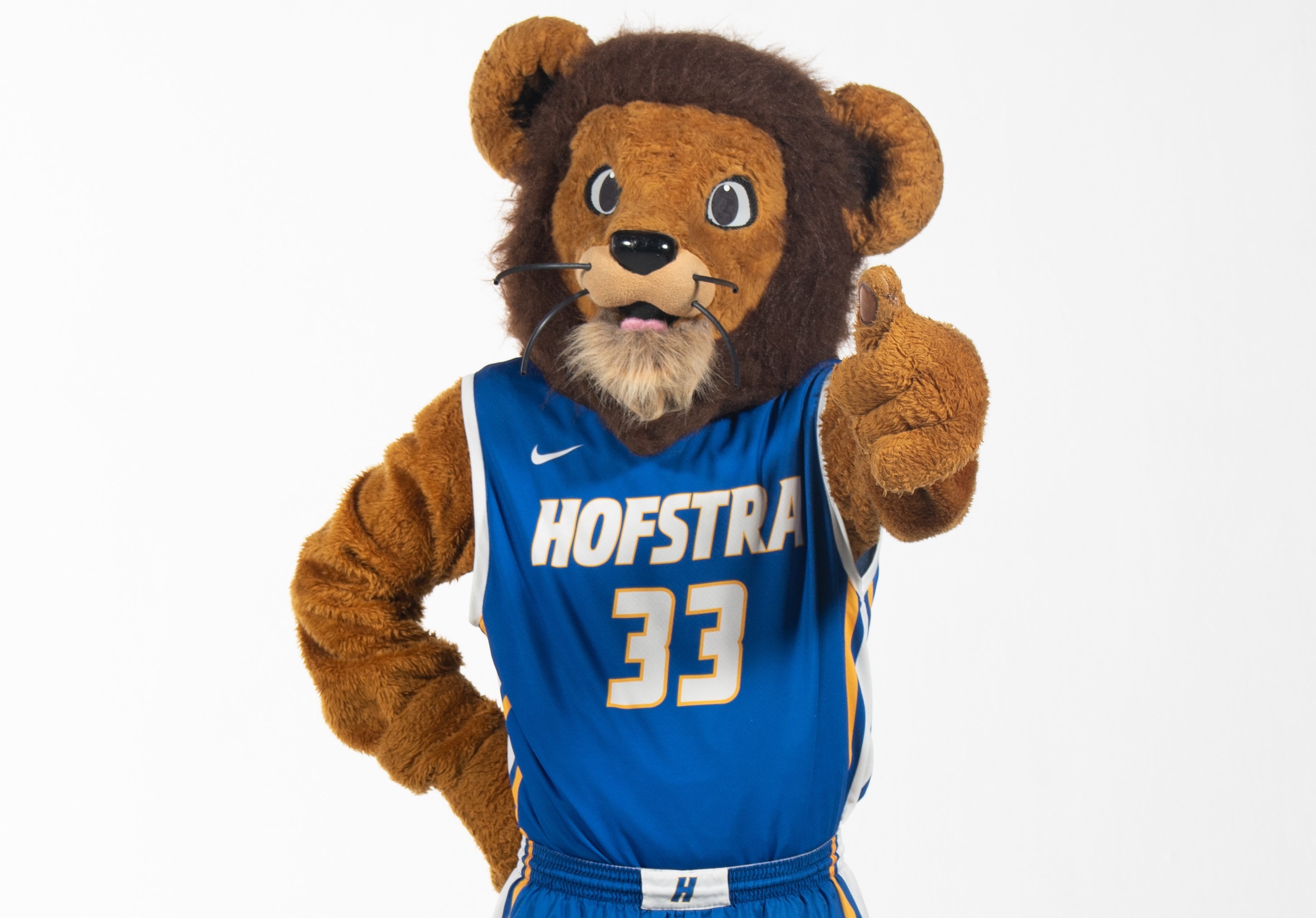 Article 243321 Hero Image