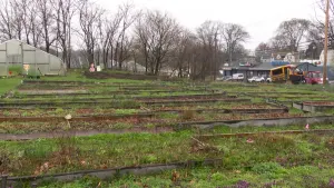Bridgeport's Reservoir Community Farm expanding due to state grants