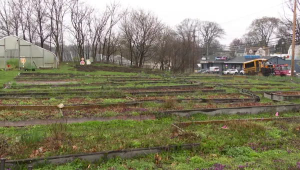 Bridgeport's Reservoir Community Farm expanding due to state grants